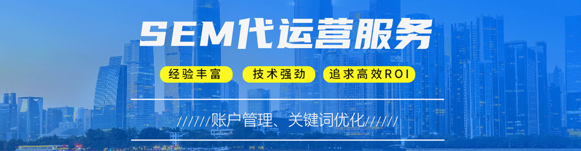 泰山sem专员